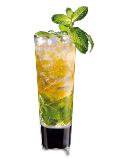 Mint Julep