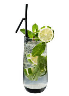 Virgin Mojito